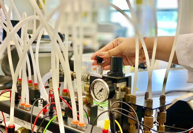 pexels-catherine-sheila-4554744