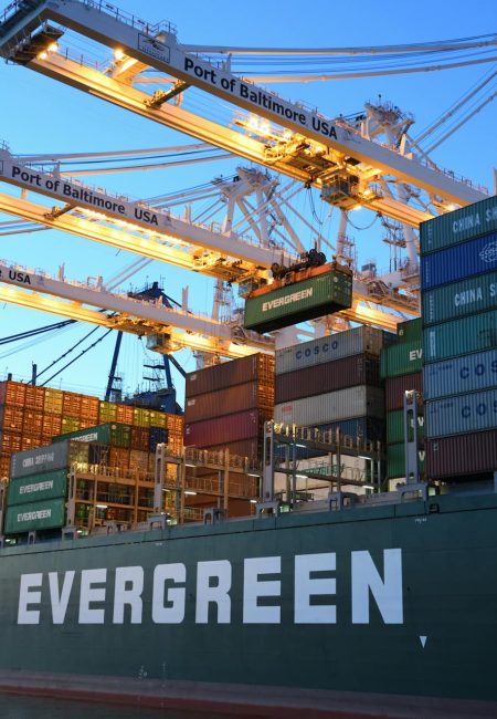 pexels-david-dibert-1117210