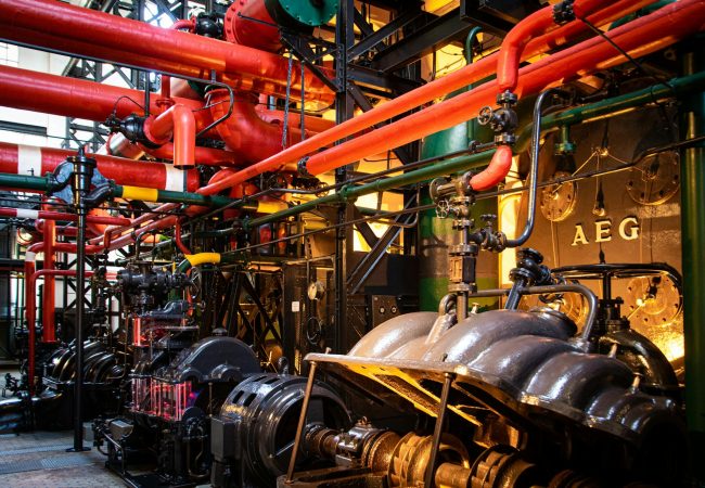 pexels-magda-ehlers-2569839